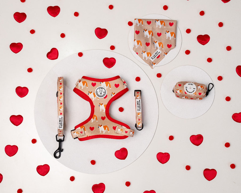 Conjunto Love Dog