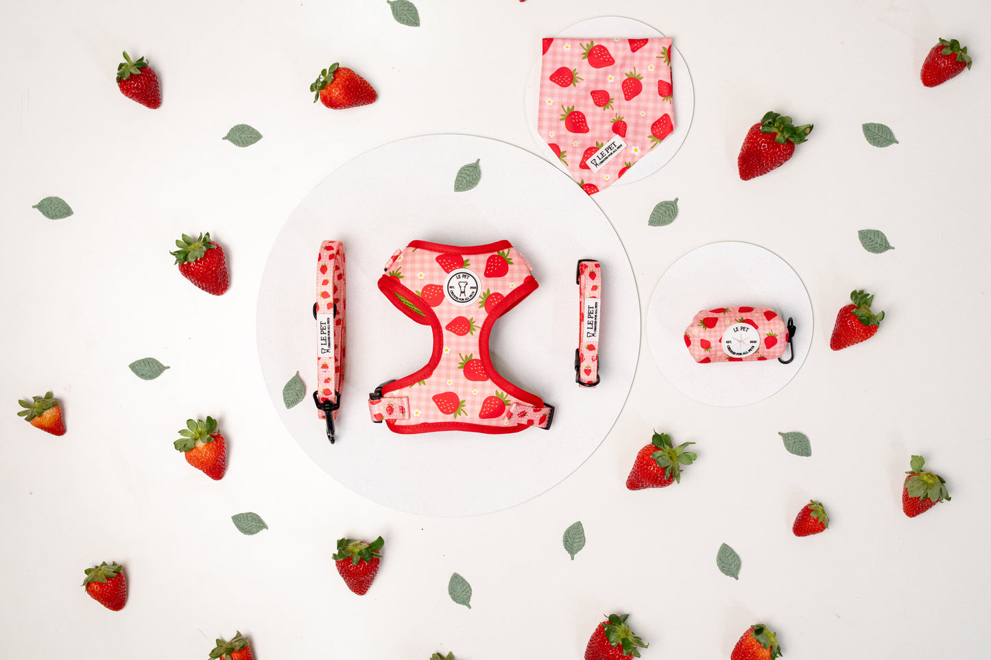 Conjunto Cesta de Morangos