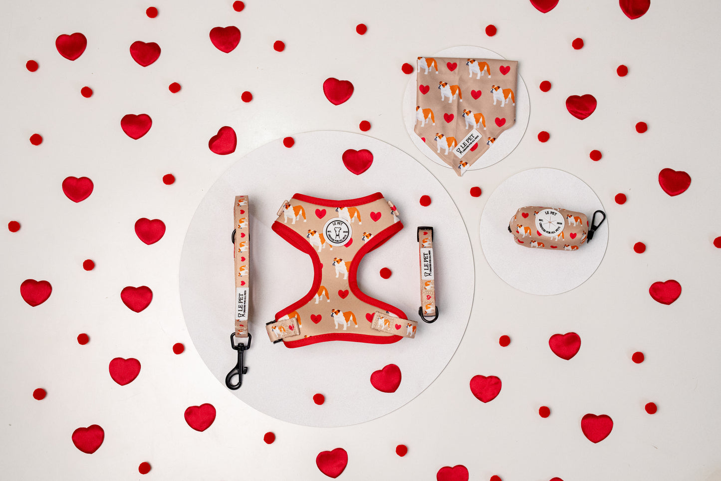 Conjunto Dog Love