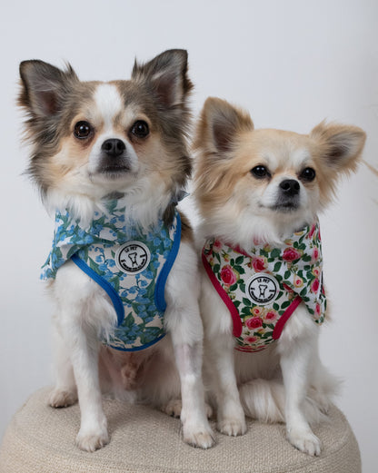 Bandanas