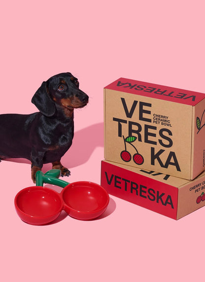 Vetreska Tigela de Cerâmica Formato Cereja (NEW)
