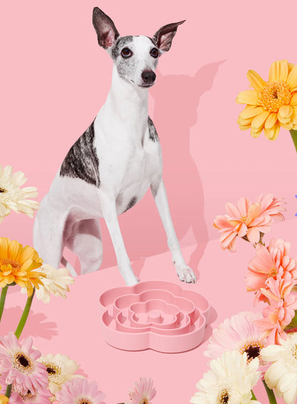 Vetreska Flora Silicone Pet Comedouro Lento para Cachorro