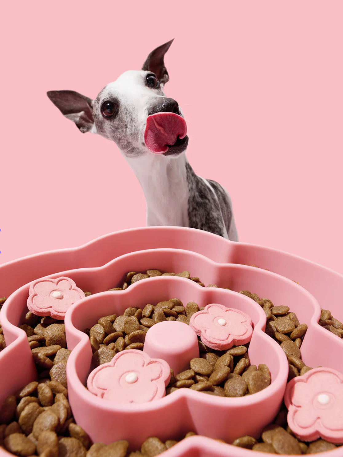 Vetreska Flora Silicone Pet Comedouro Lento para Cachorro