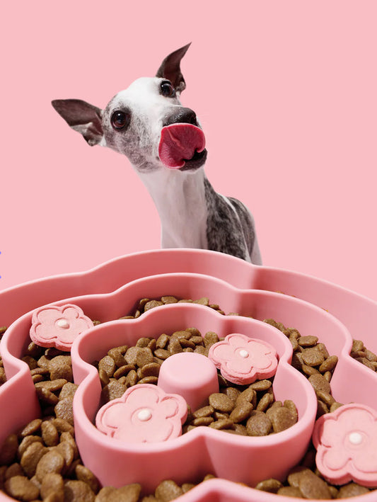 Vetreska Flora Silicone Pet Comedouro Lento para Cachorro
