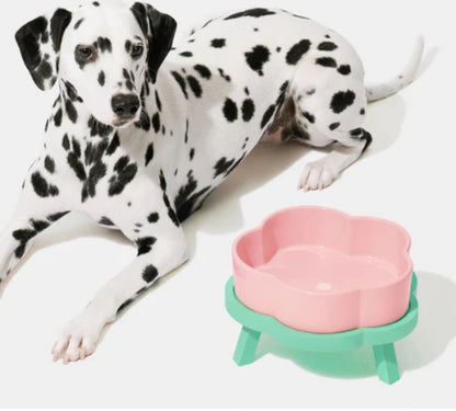 Vetreska Tigela de Cerâmica Flora Para Cães