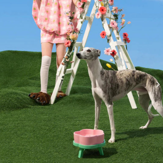 Vetreska Tigela de Cerâmica Flora Para Cães
