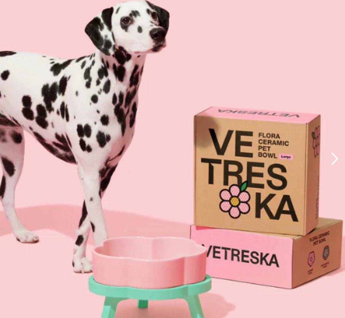 Vetreska Tigela de Cerâmica Flora Para Cães