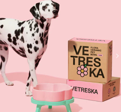Vetreska Tigela de Cerâmica Flora Para Cães