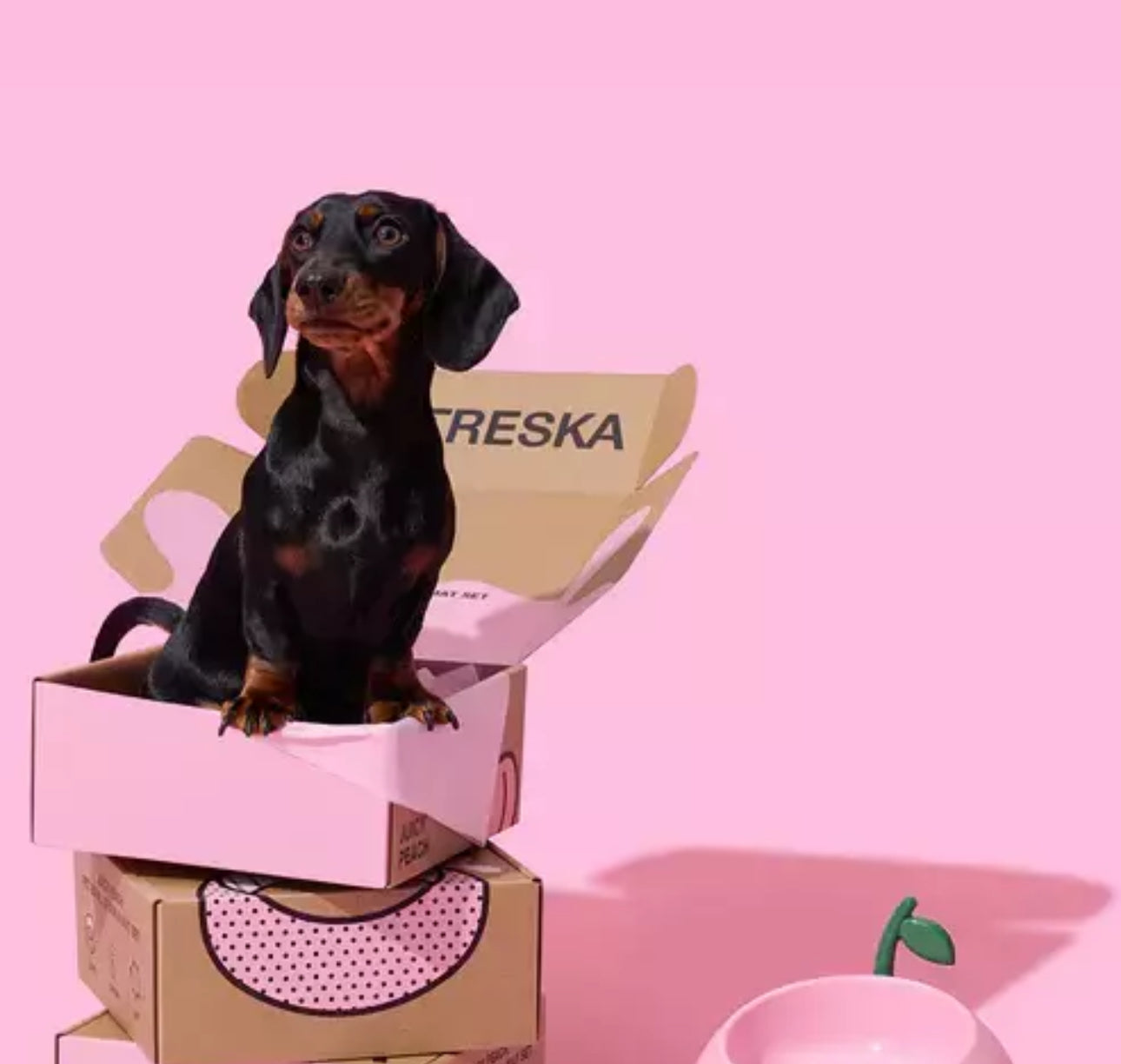 Vetreska Bowl Peach - Comedouro para cães e gatos