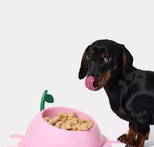 Vetreska Bowl Peach - Comedouro para cães e gatos