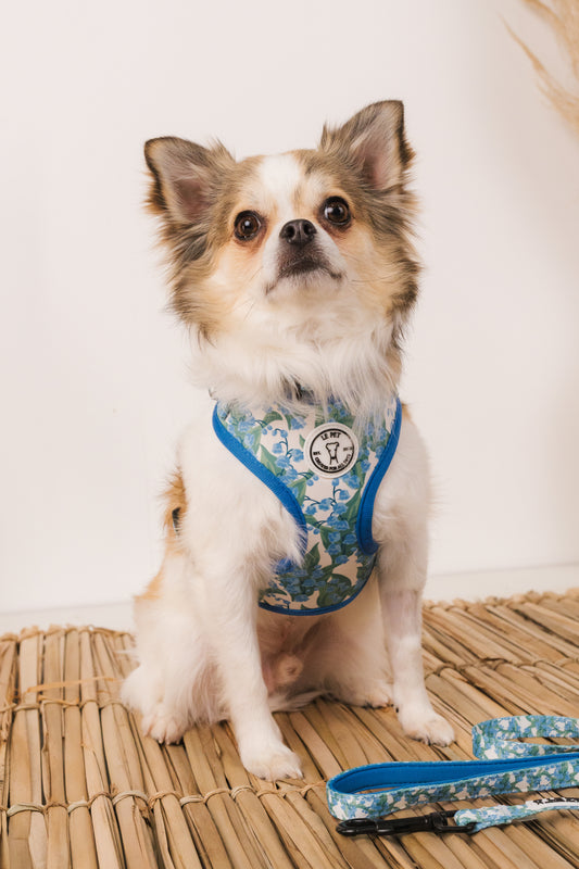 Conjunto Folhas e Flores