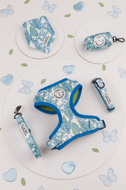 Conjunto Folhas e Flores
