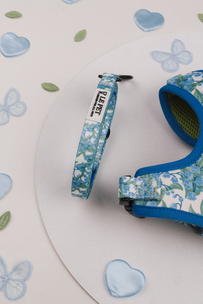 Conjunto Folhas e Flores