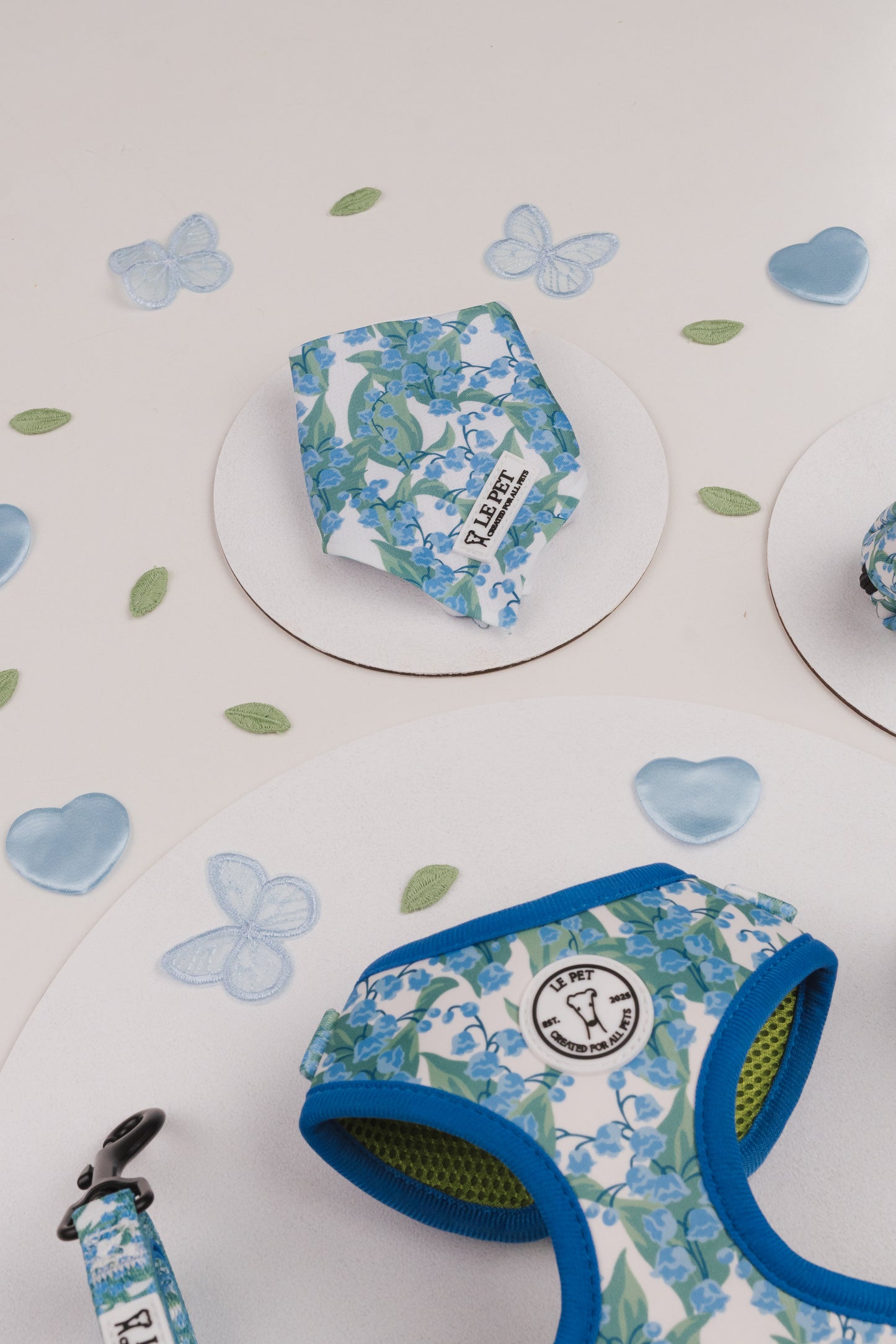 Conjunto Folhas e Flores