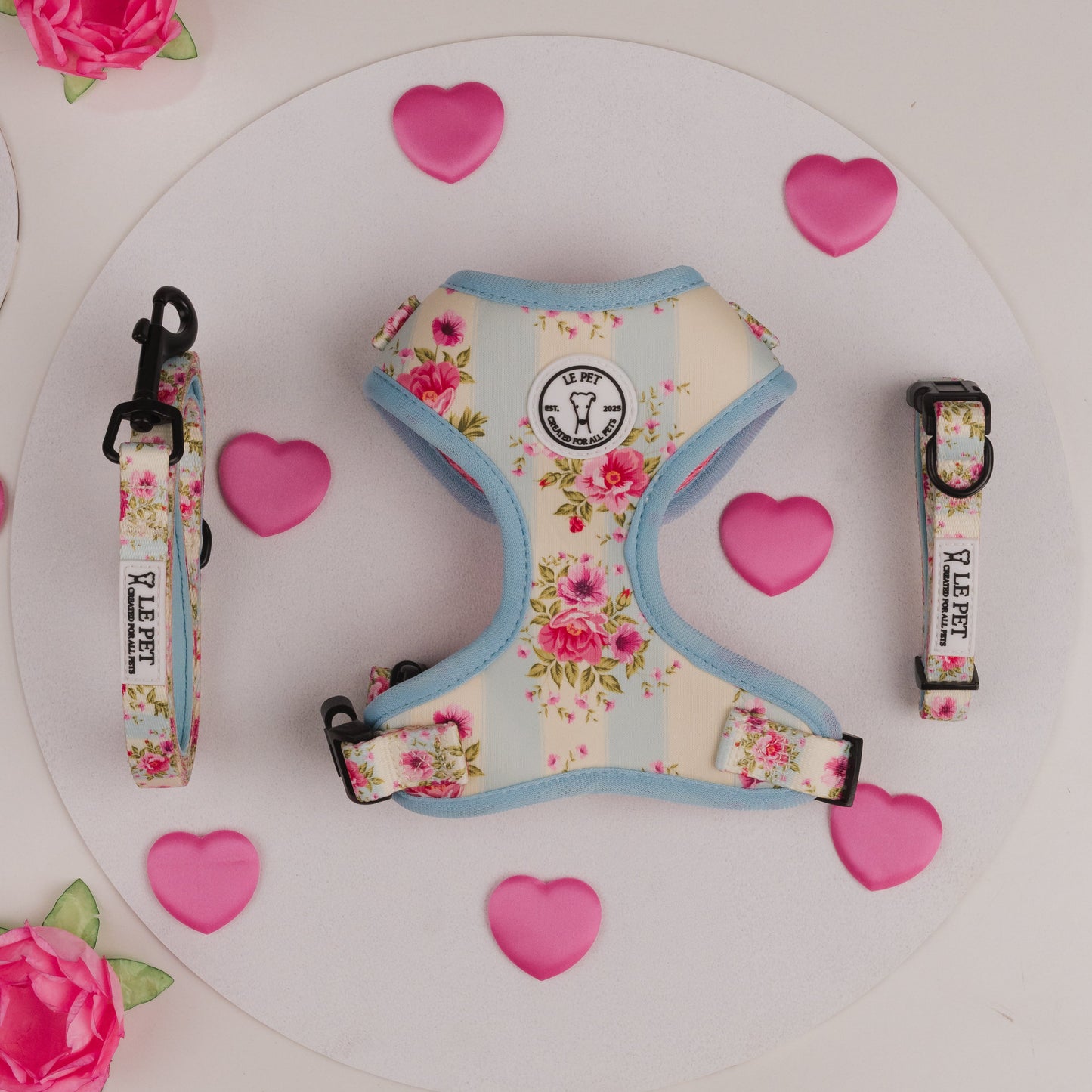 Conjunto Jardim