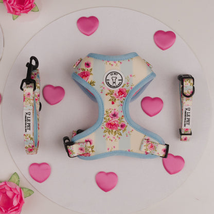 Conjunto Jardim