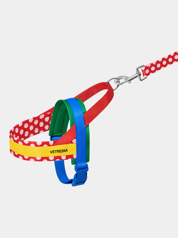 Conjunto RED Chroma da VETRESKA