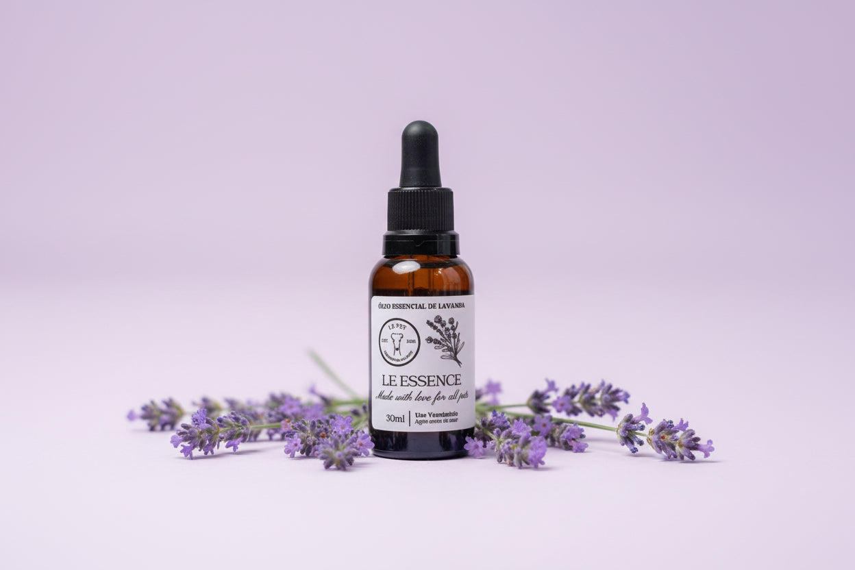 Le essence Lavanda