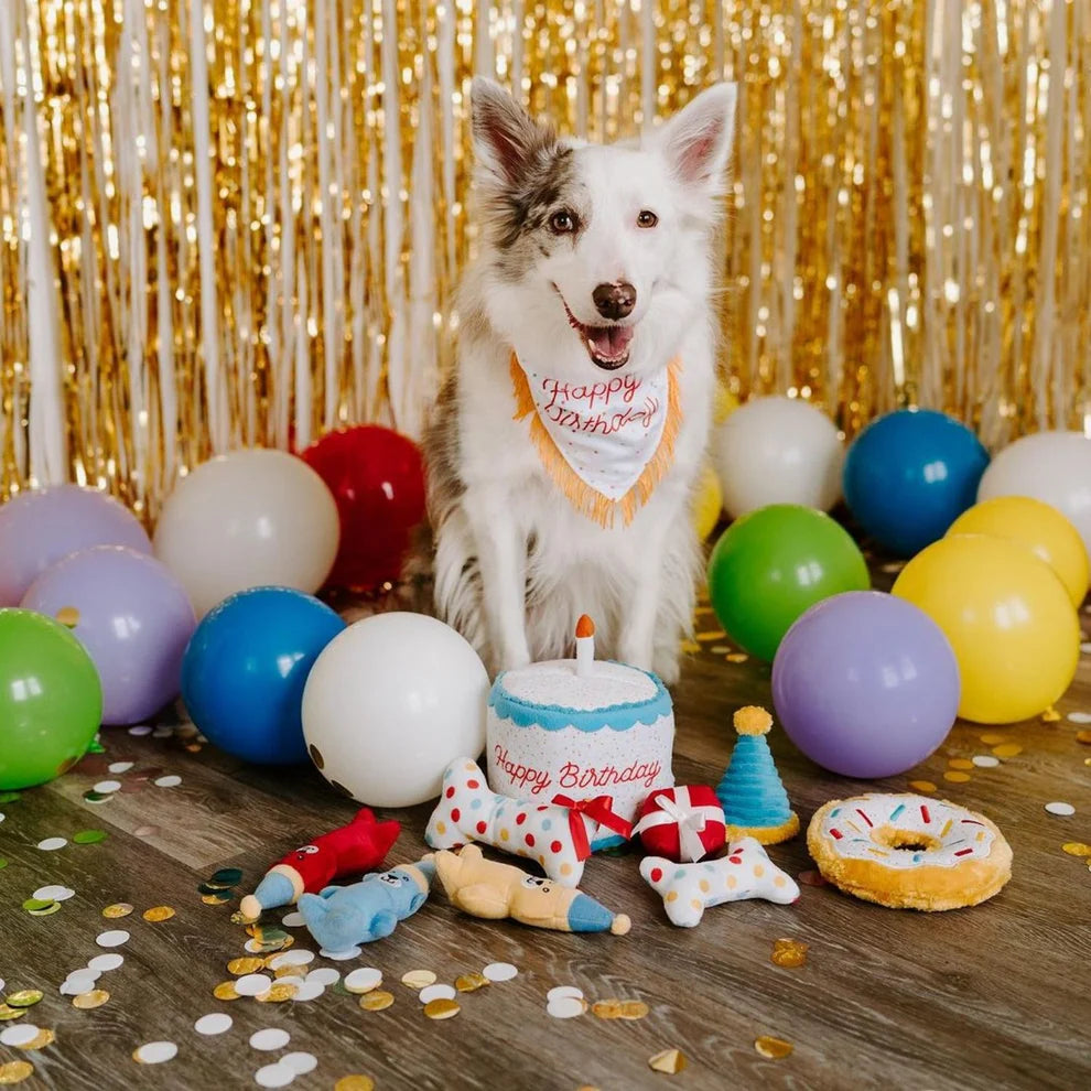 Zippy Paws Burrow - Birthday Cake