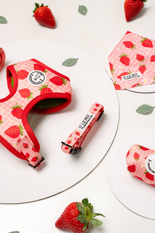 Conjunto Cesta de Morangos